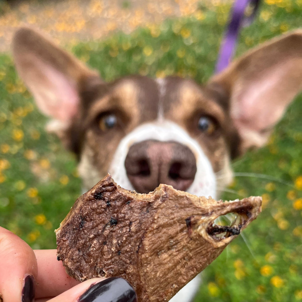 Pulmón de cordero - 50g