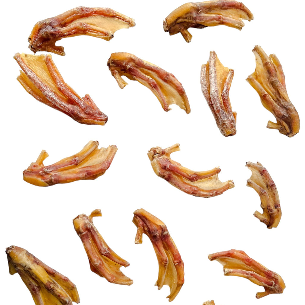 Patas de Pato (10 und)