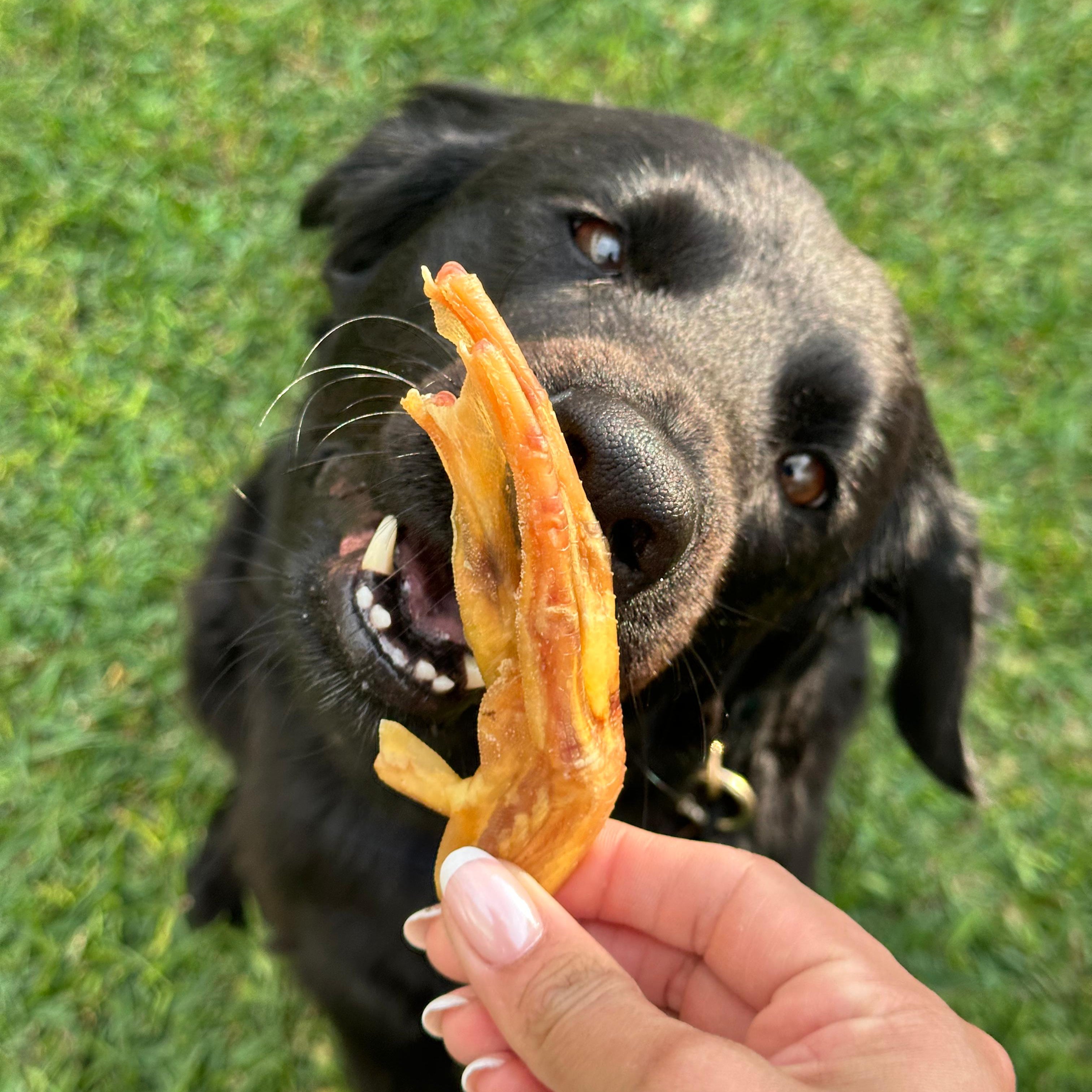 Patas de Pato (10 und)