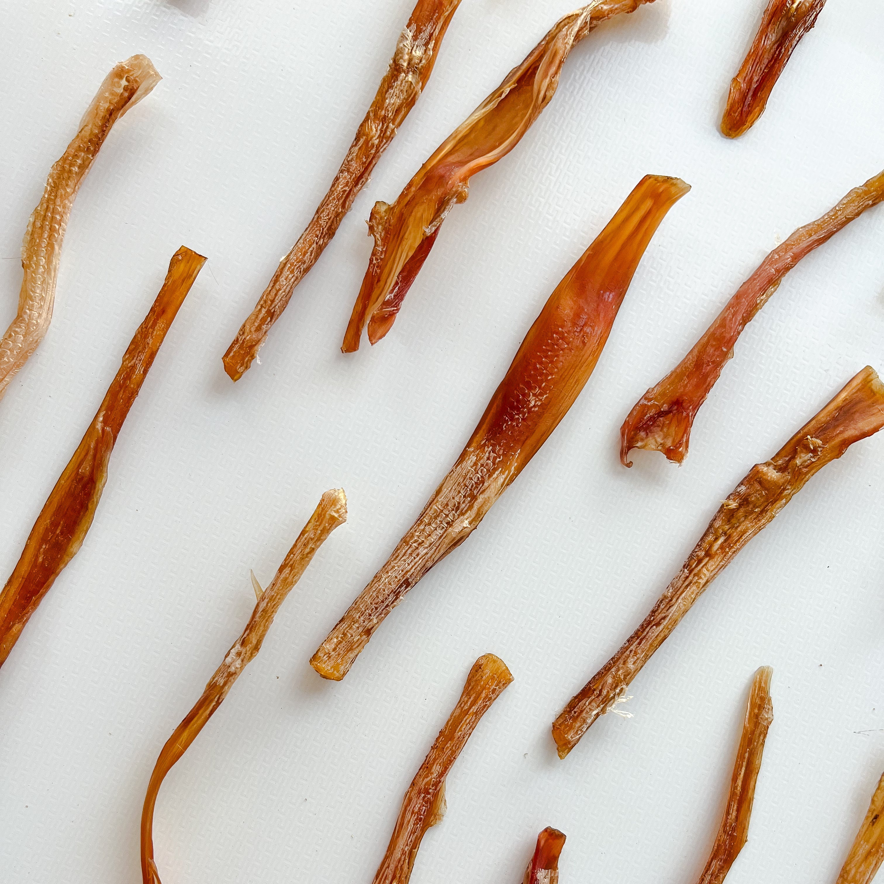 Tendones de Equino (100 g)