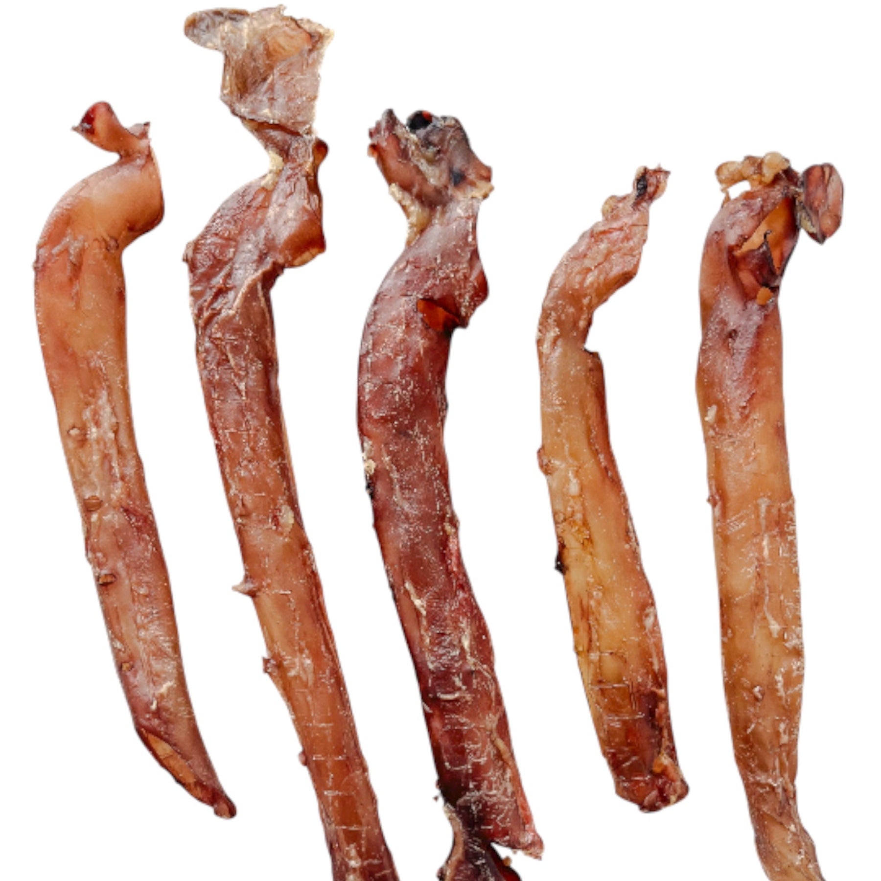 Aorta de porcino (5 und)