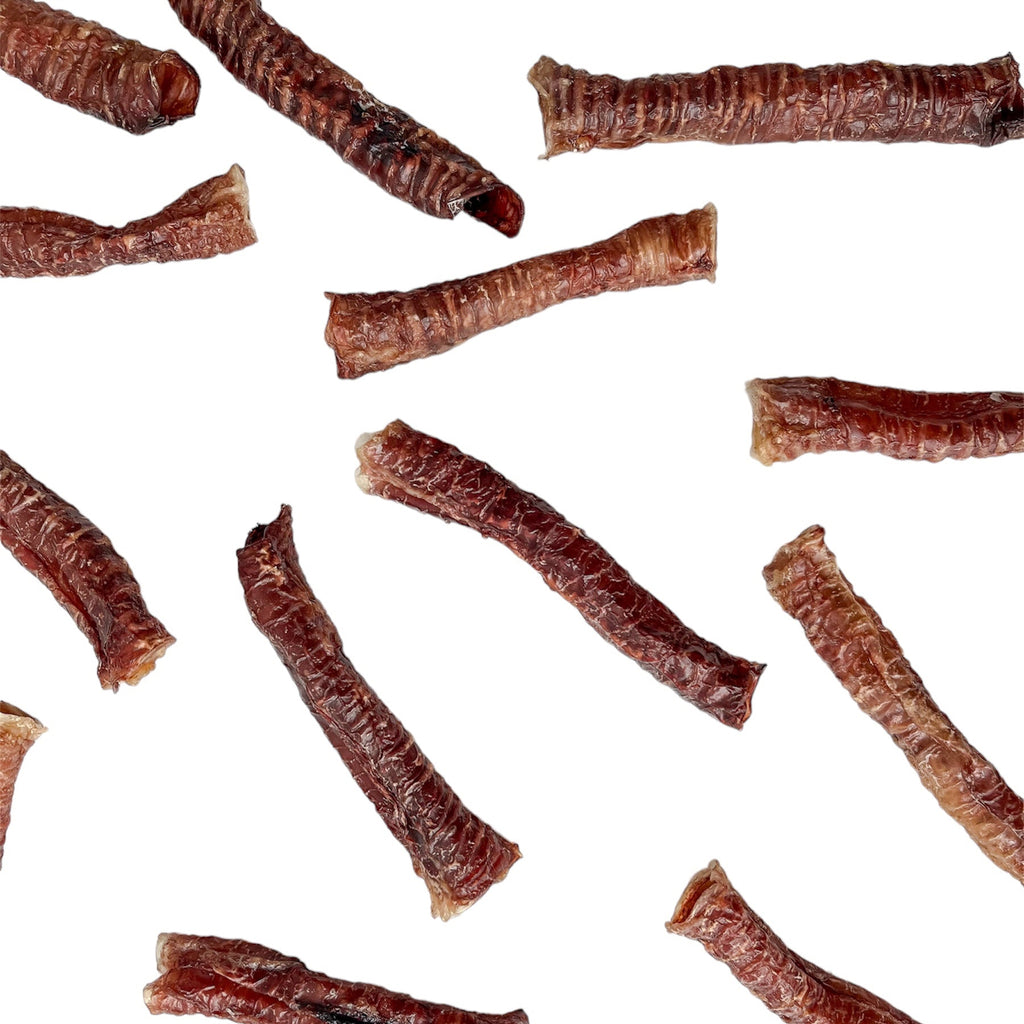 Tráquea de Porcino (5 und)