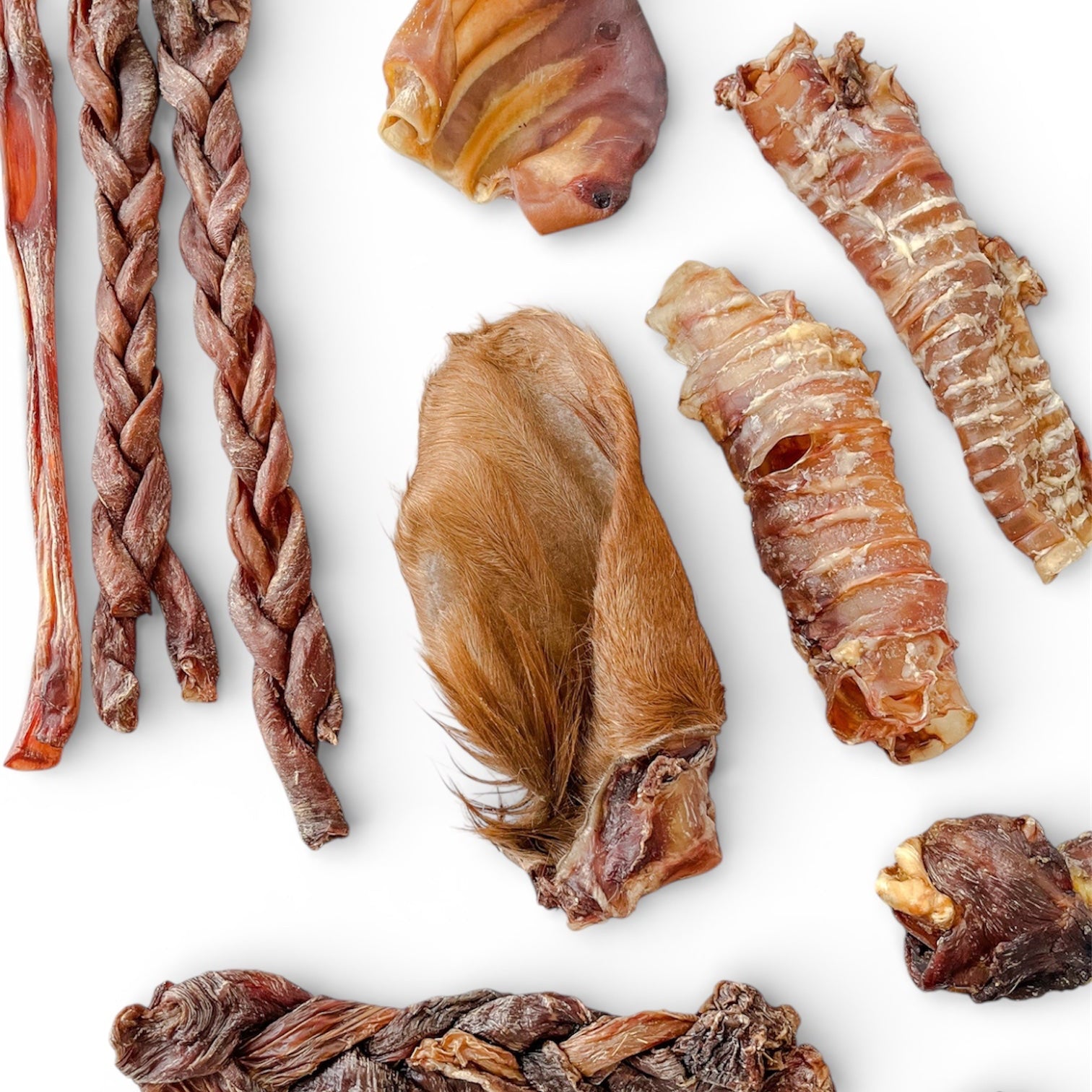 Box Masticables Large