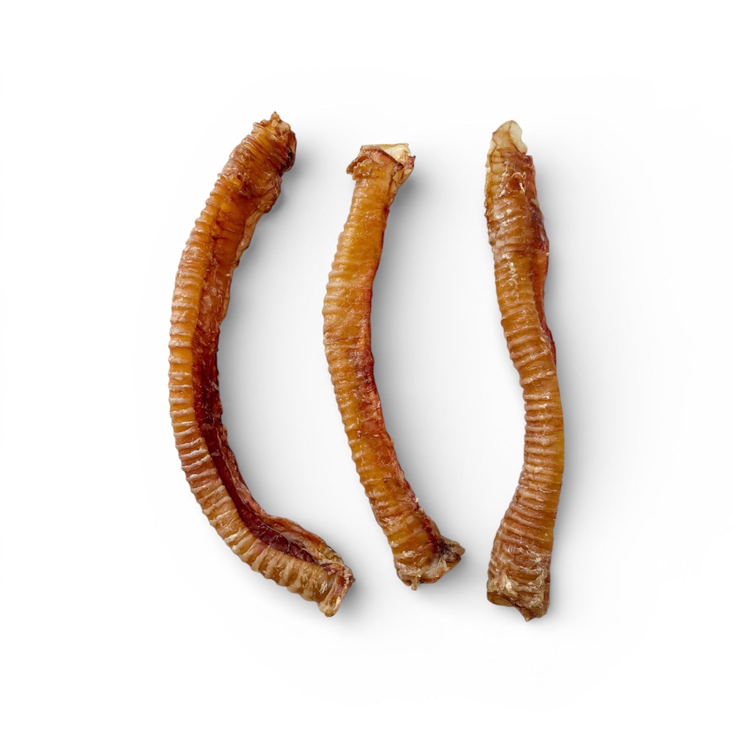 Tráquea de cordero - 5und