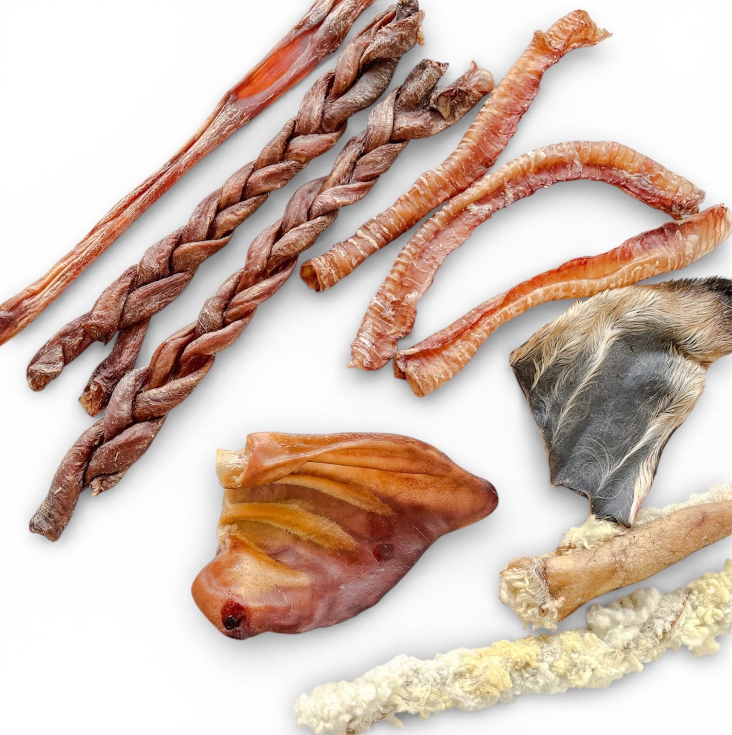 Box Masticables Medium