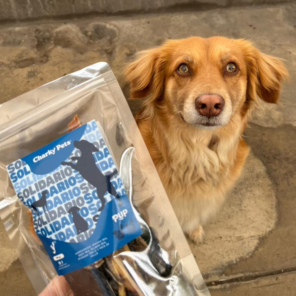 Treats Solidarios CHARKYPETS x Proyecto PUP