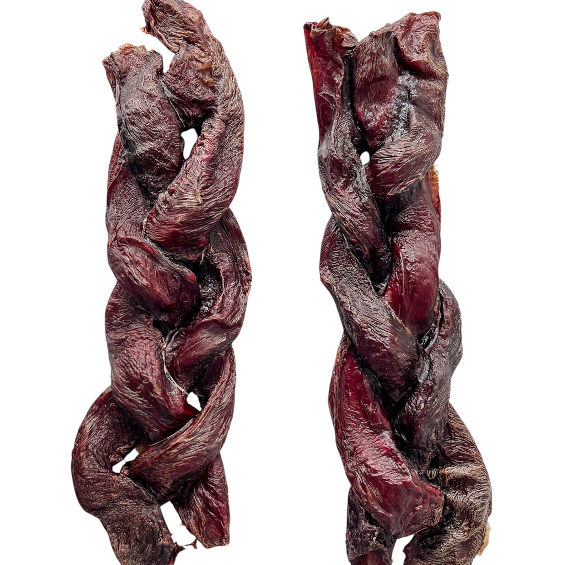 Esófago Trenzado de Equino