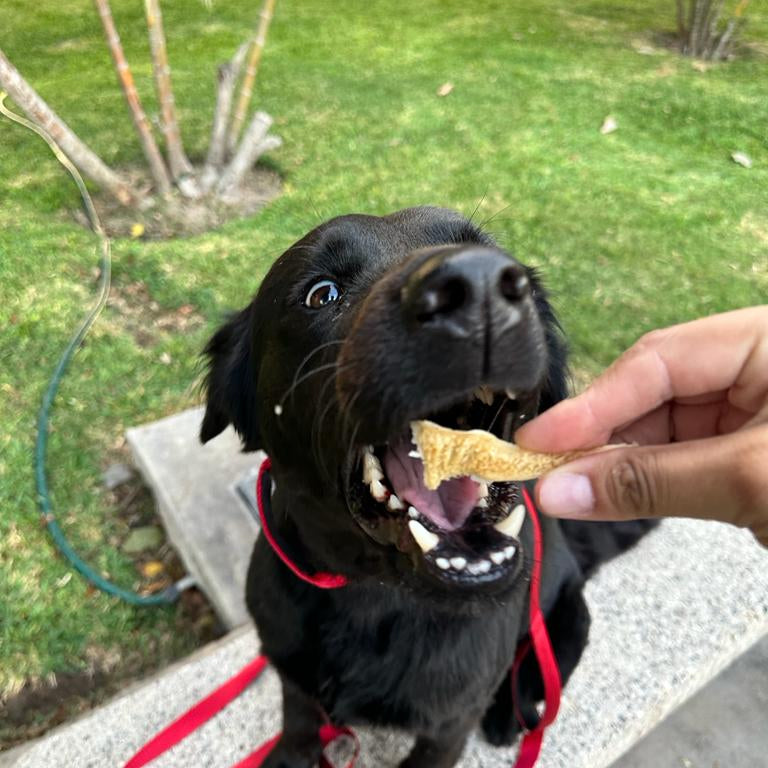 Mondonguito de res - 50g