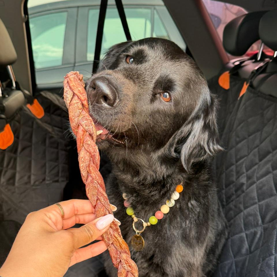 Esófago trenzado cordero