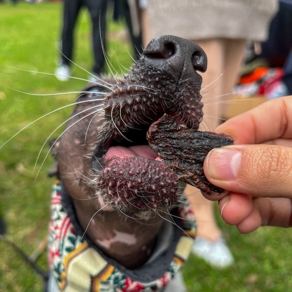 Surtidito Equino – 100 g