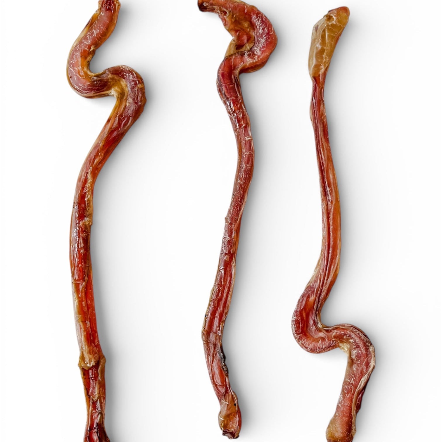 Bullystick Cordero - 3 und