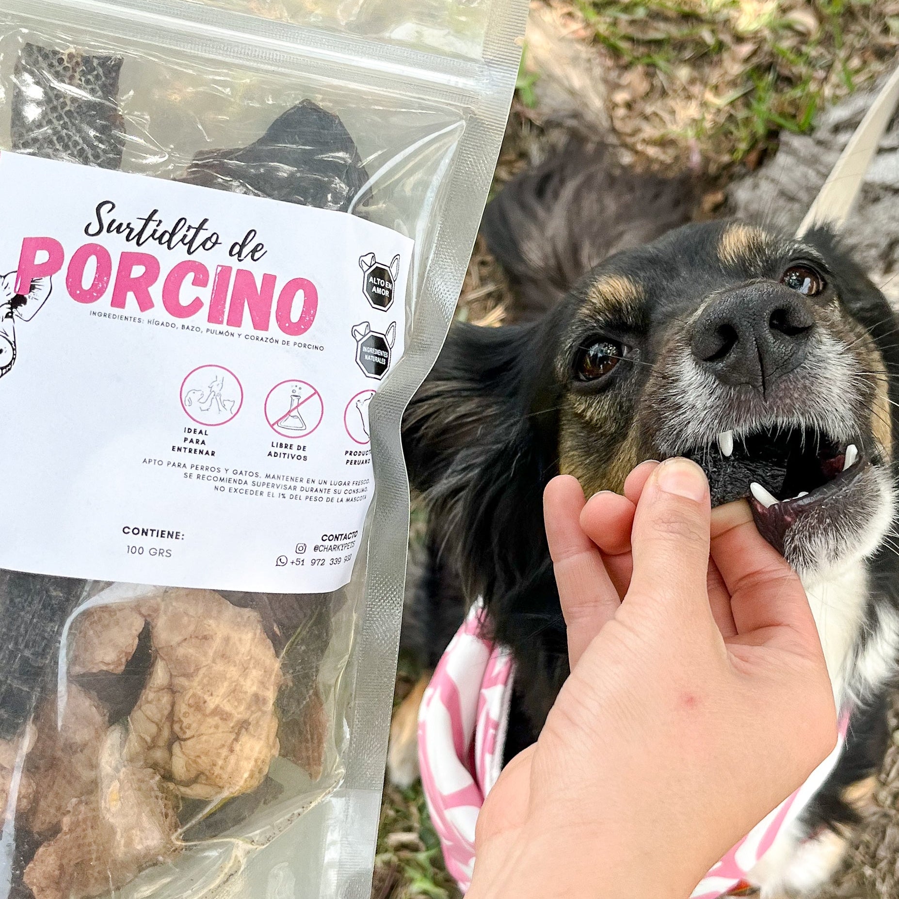 Surtidito Porcino – 100 g