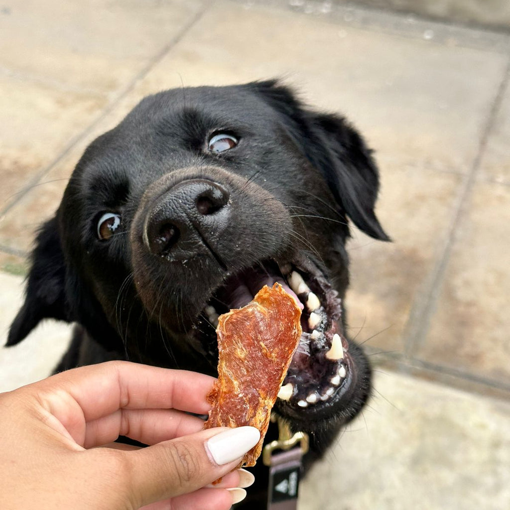 Pechuga de pavo - 100g