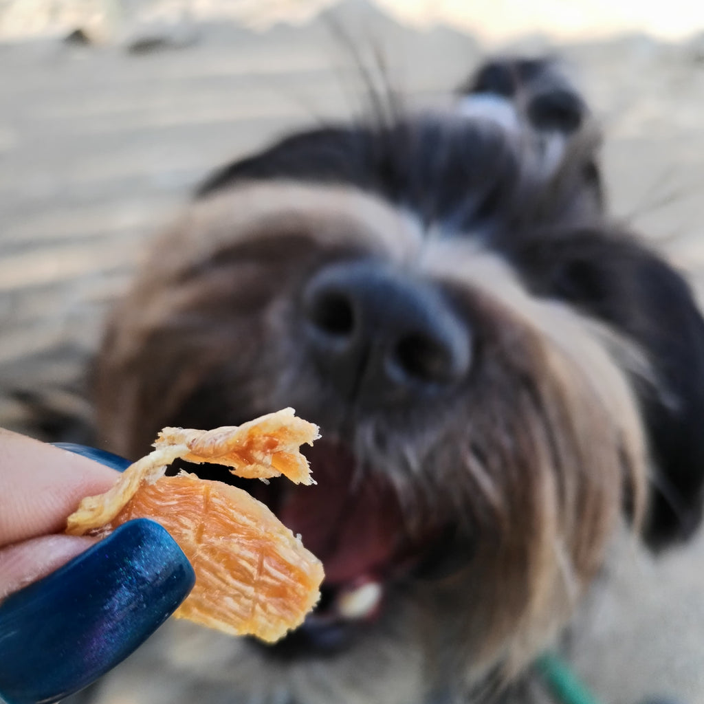 Pechuga de pollo - 100g