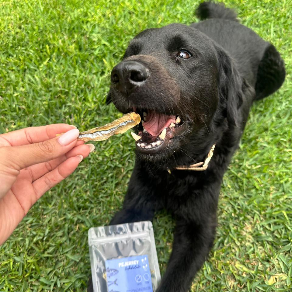 Pejerrey – 10 unidades