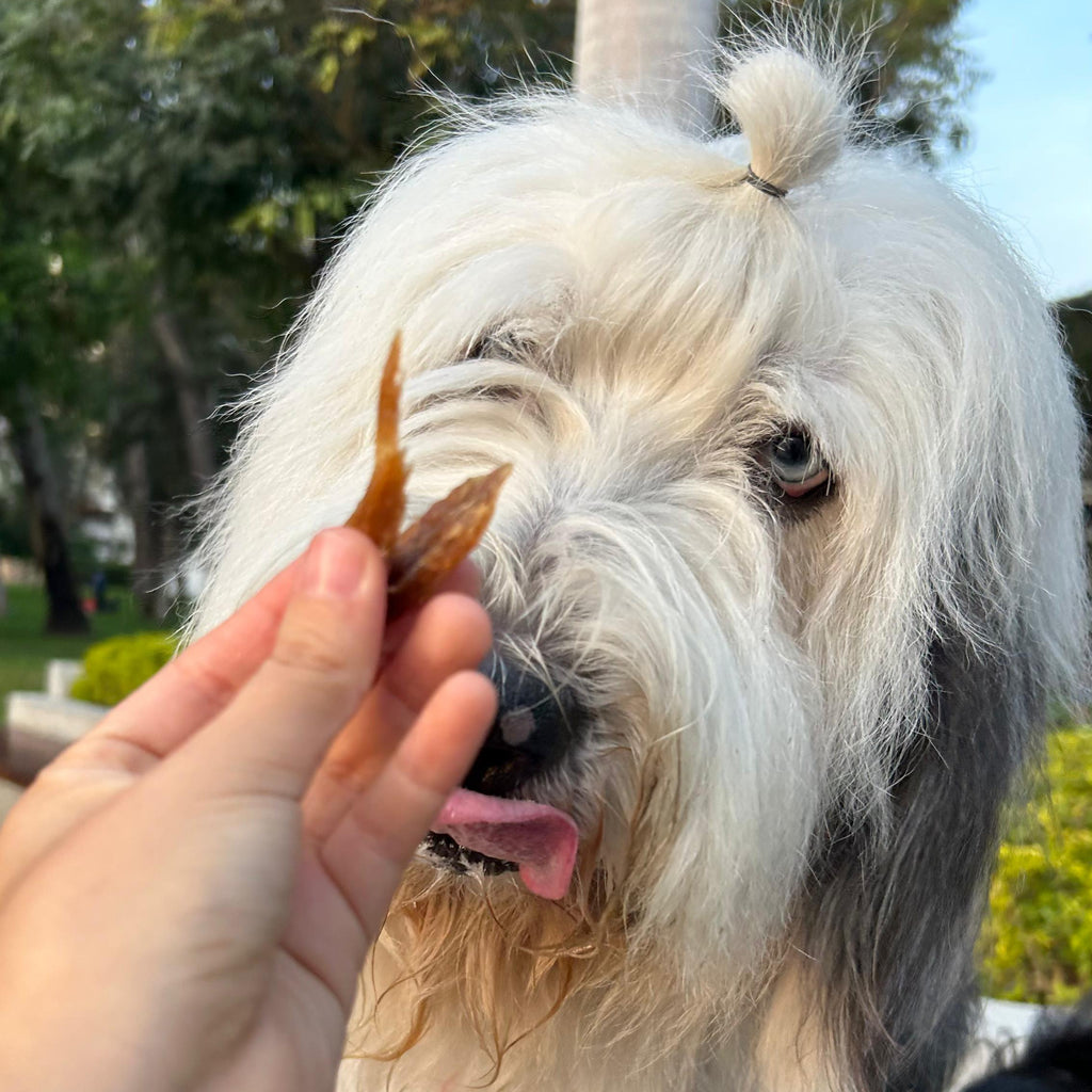 Bites de Bonito – 100 g