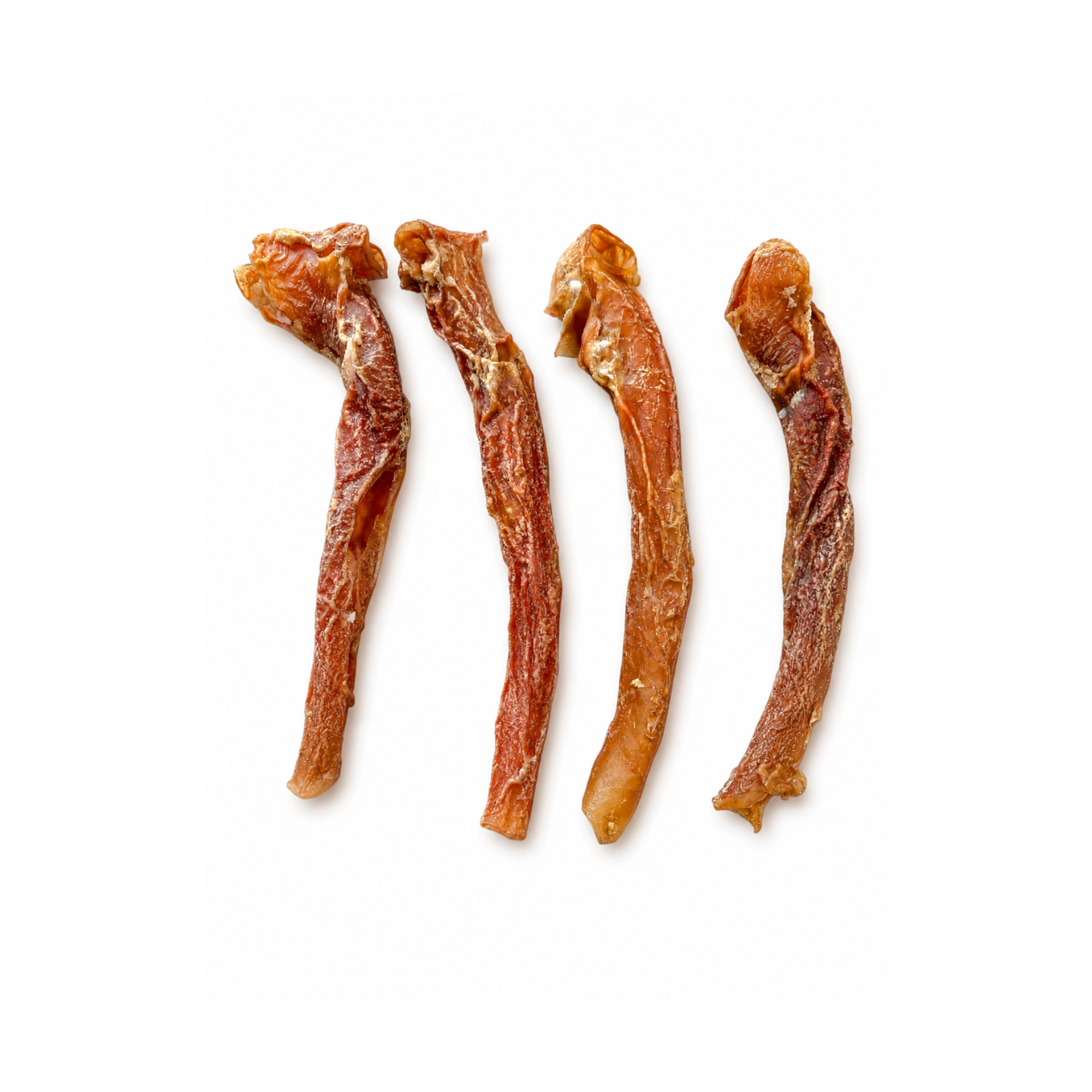 Aorta de res