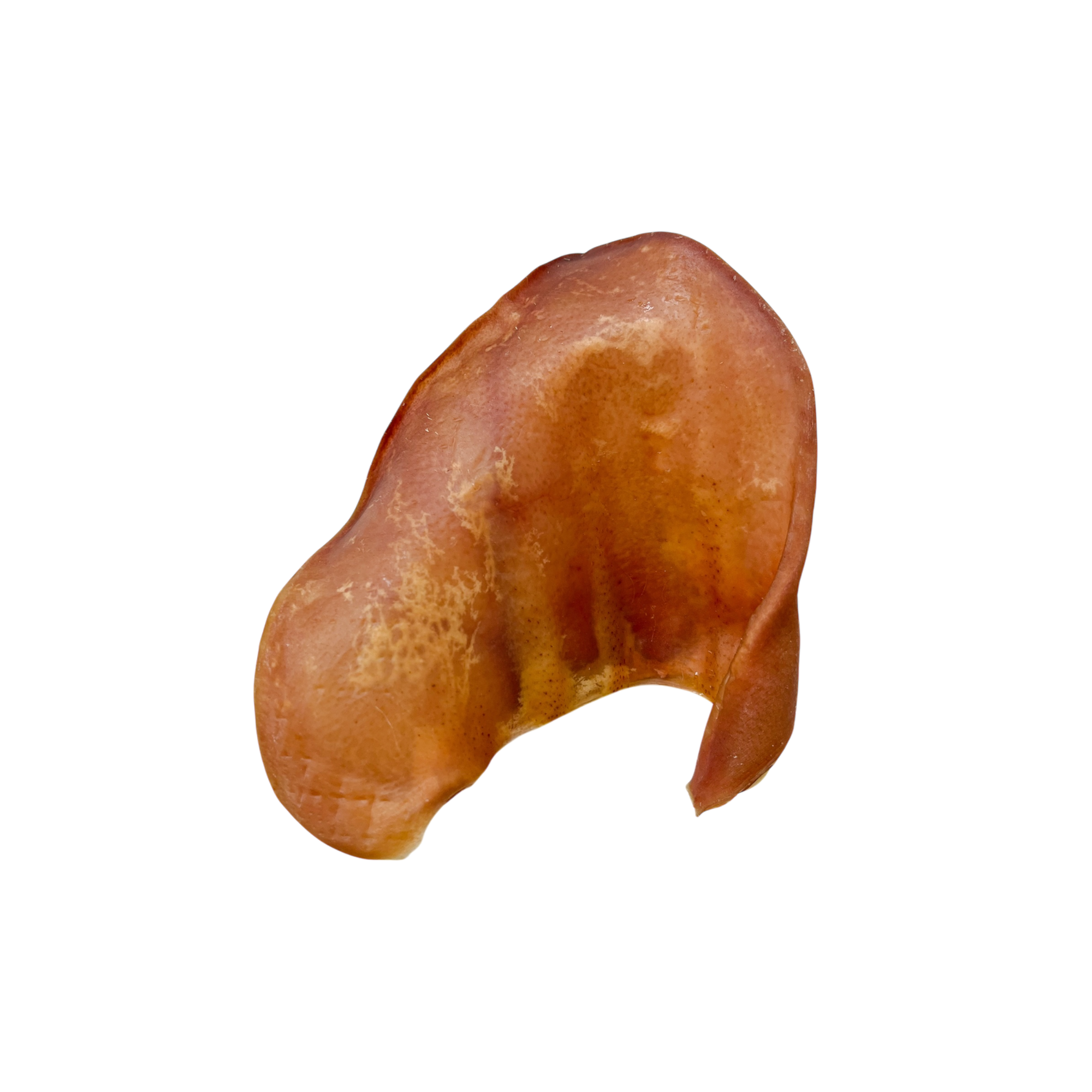 Oreja de Porcino