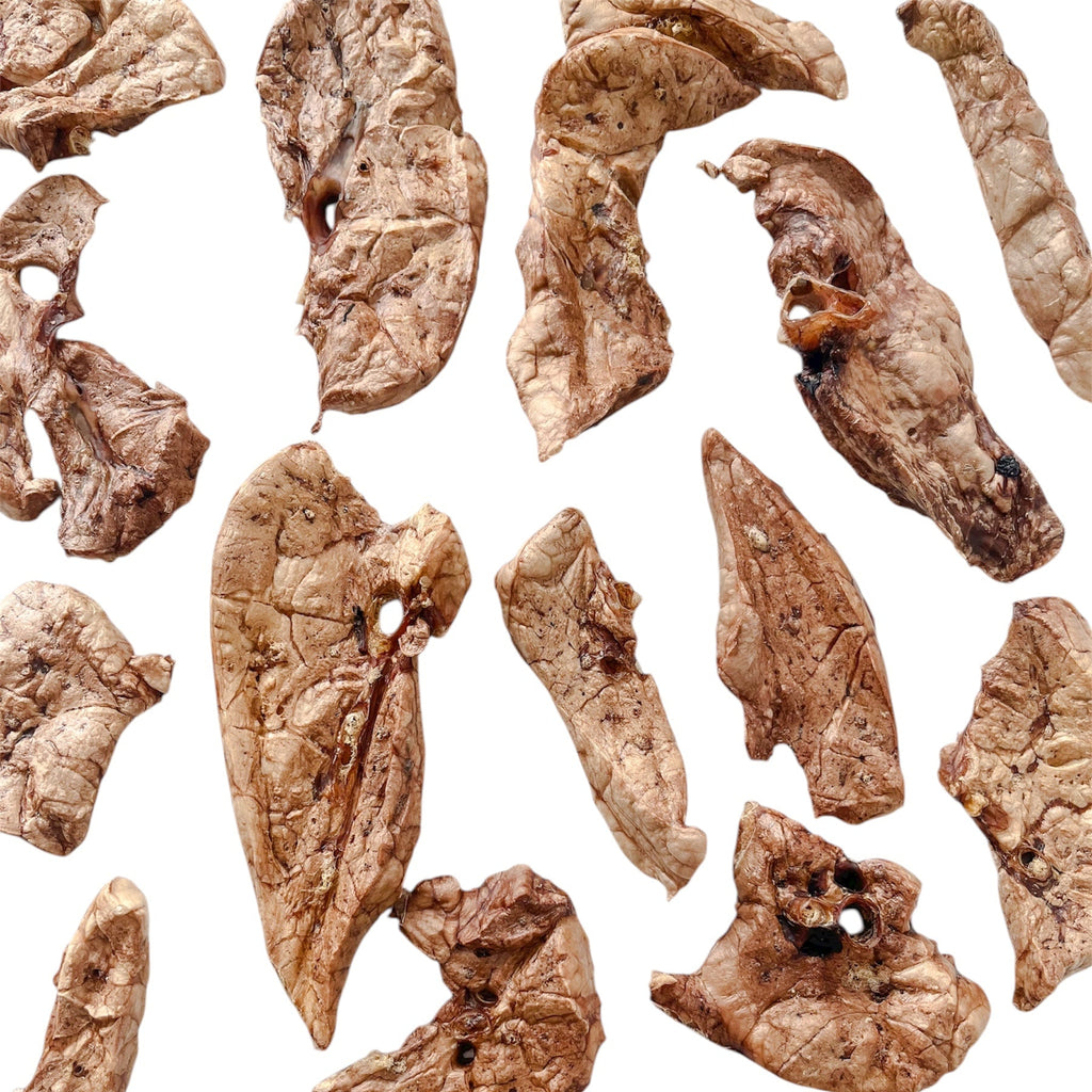 Pulmón Porcino – 50 g