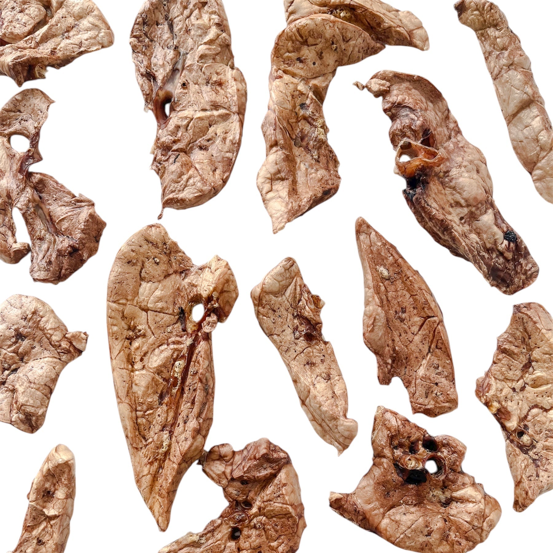 Pulmón Porcino – 50 g